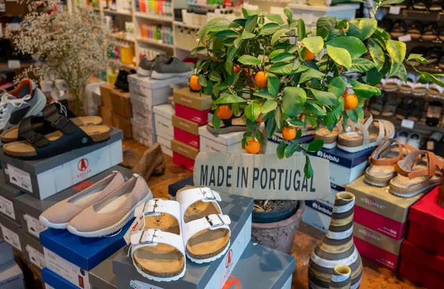 Sandaler och skor på kartonger runt en citrusväxt i Hälsokraft Orminge